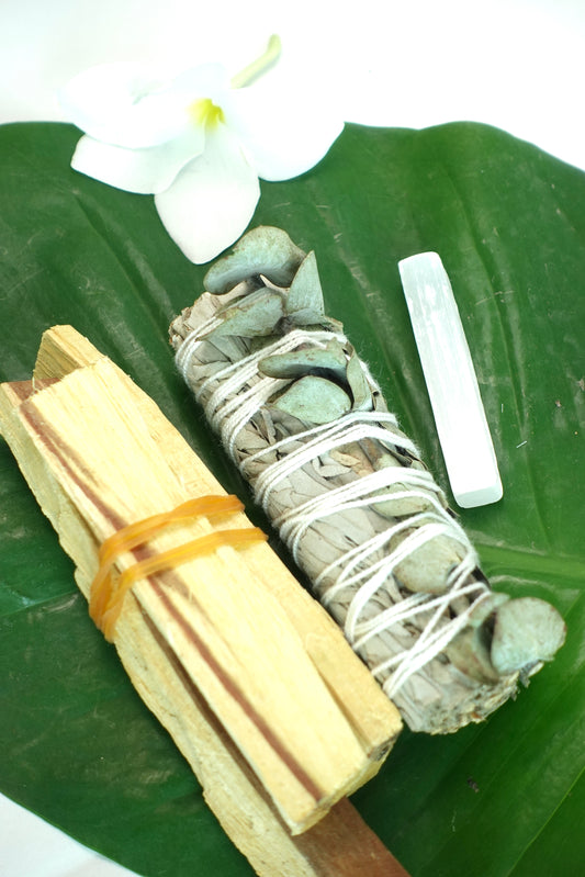 Kit - Limpieza y Protección