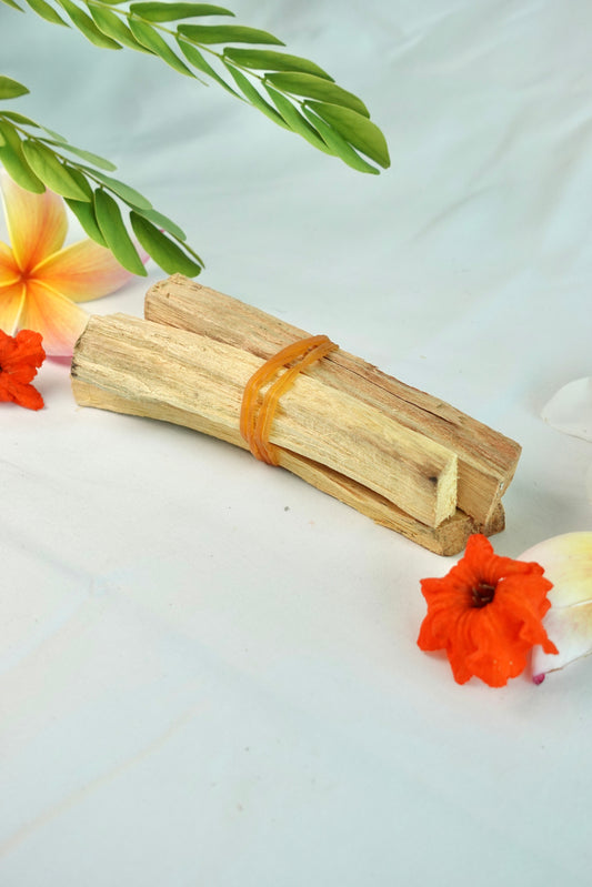 Palo Santo – Madera Sagrada para Purificación y Armonización