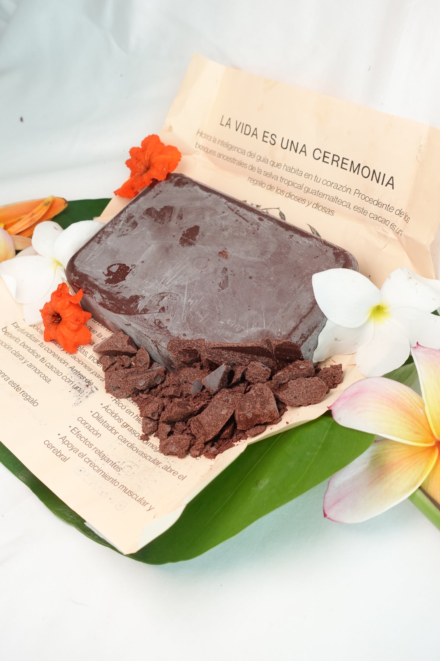 Cacao de Alta Verapaz, Guatemala