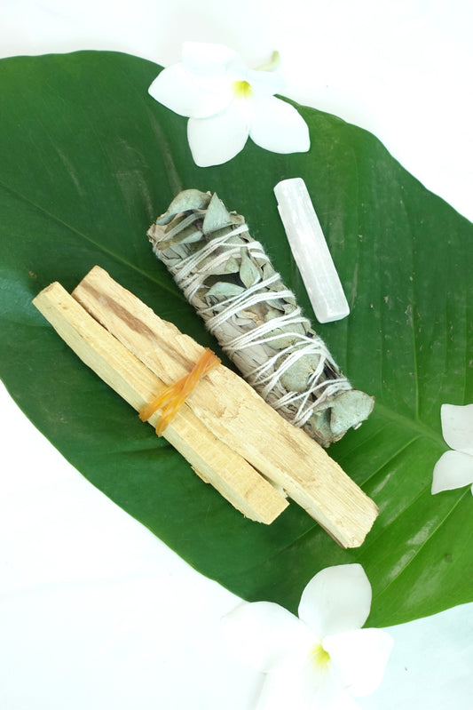 Kit - Limpieza y Protección