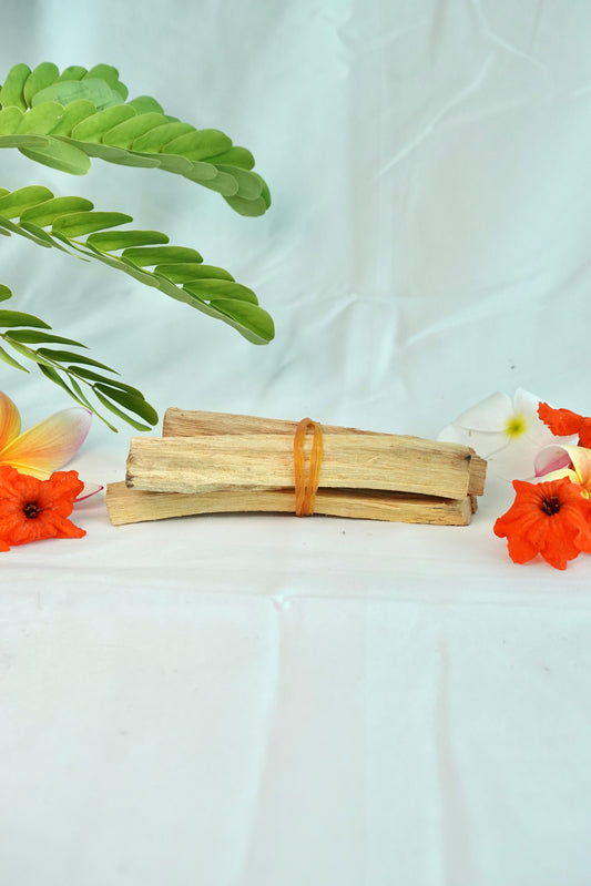 Palo Santo – Madera Sagrada para Purificación y Armonización