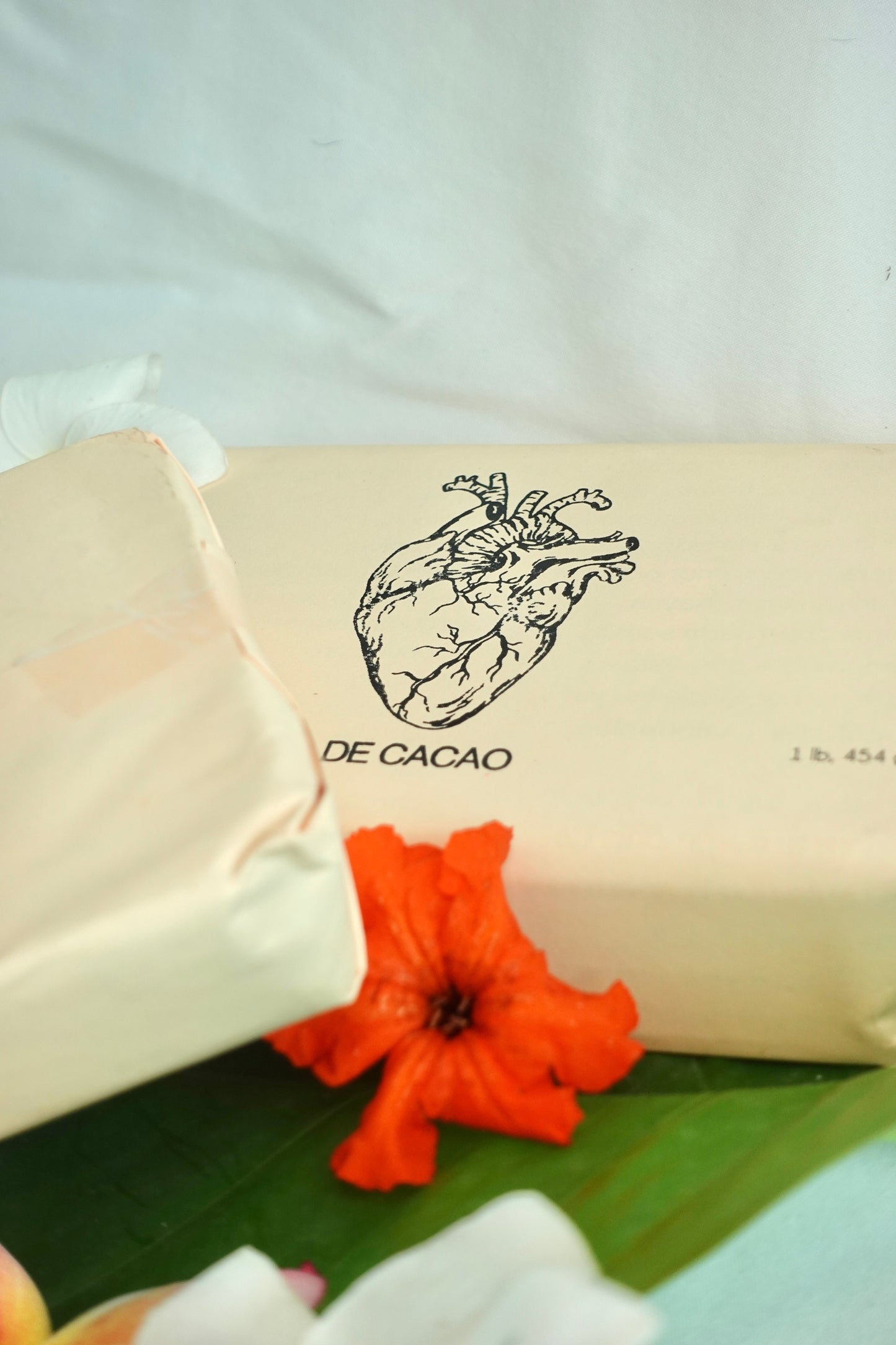 Cacao de Alta Verapaz, Guatemala