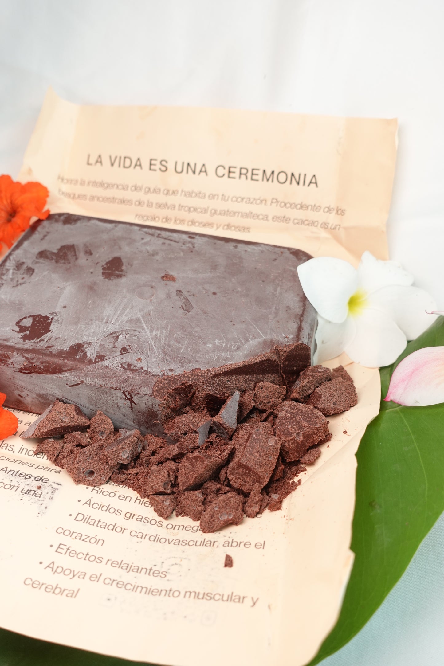 Cacao de Alta Verapaz, Guatemala