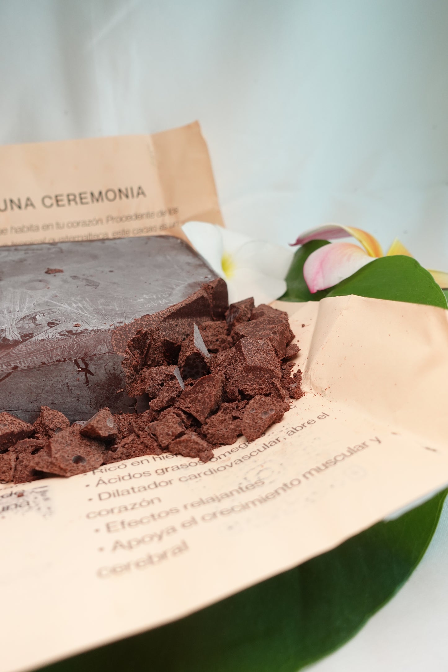 Cacao de Alta Verapaz, Guatemala