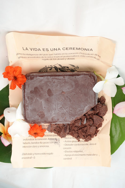 Cacao de Alta Verapaz, Guatemala