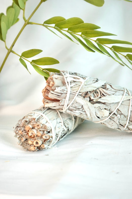 Salvia Blanca Californiana